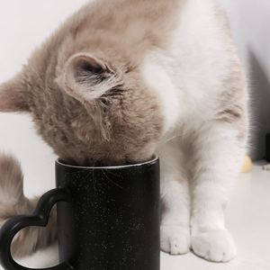 jagnexsmax丰满熟女
